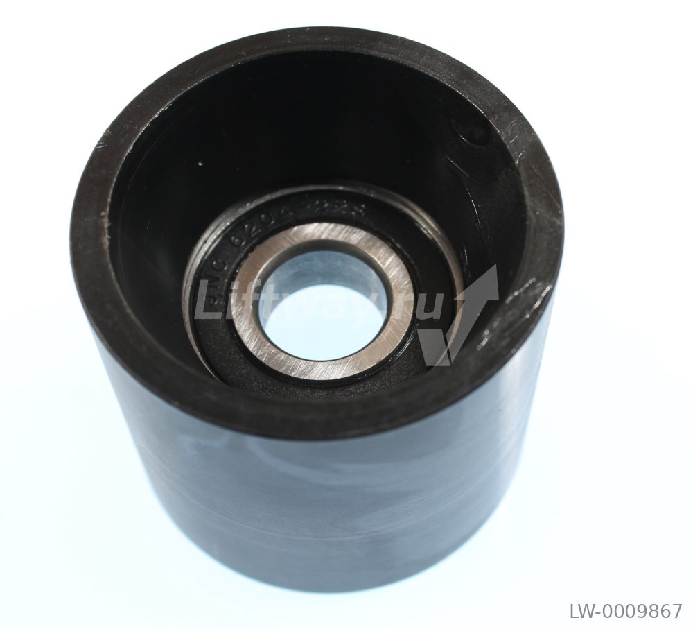 Ролик поддержки поручня холостой ветви Sigma SCE подшипник 6204 (D70 d20 H60)