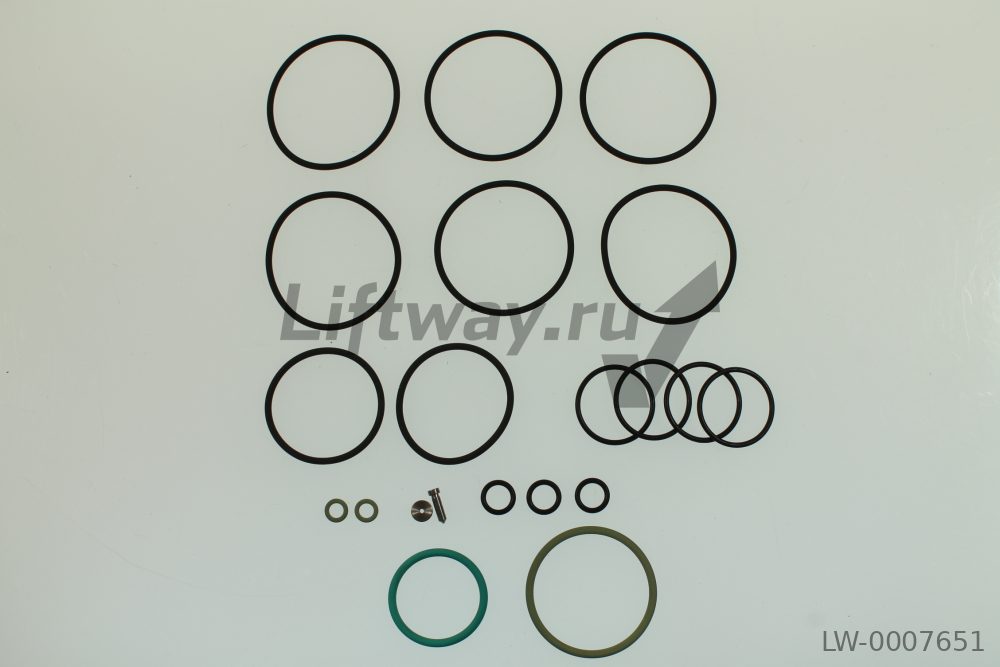 Комплект сальников для клапанной станции BLAIN EV 11/2 + 2 (1,5"-2,0" большой 21 позиция)