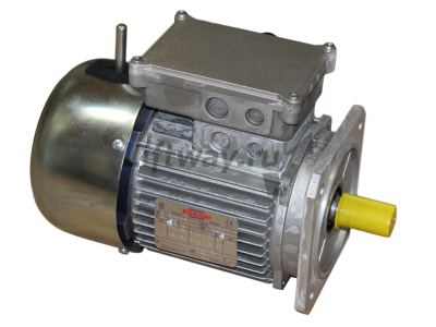 Двигатель 0,75 кВт  тип TRB90S6  BONANI 900 rpm
